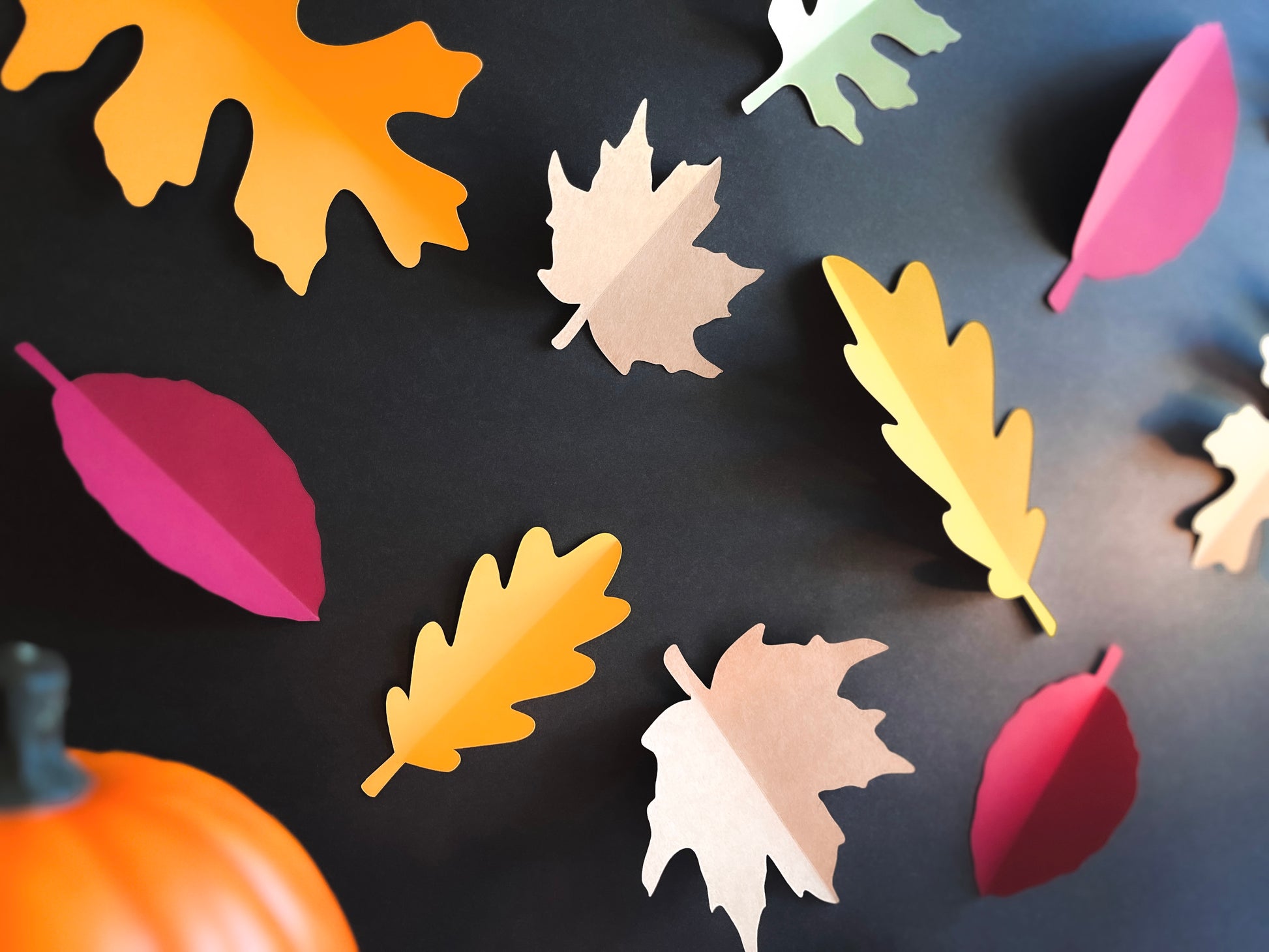 Fall Leaves Paper Cut Outs - Set of 25