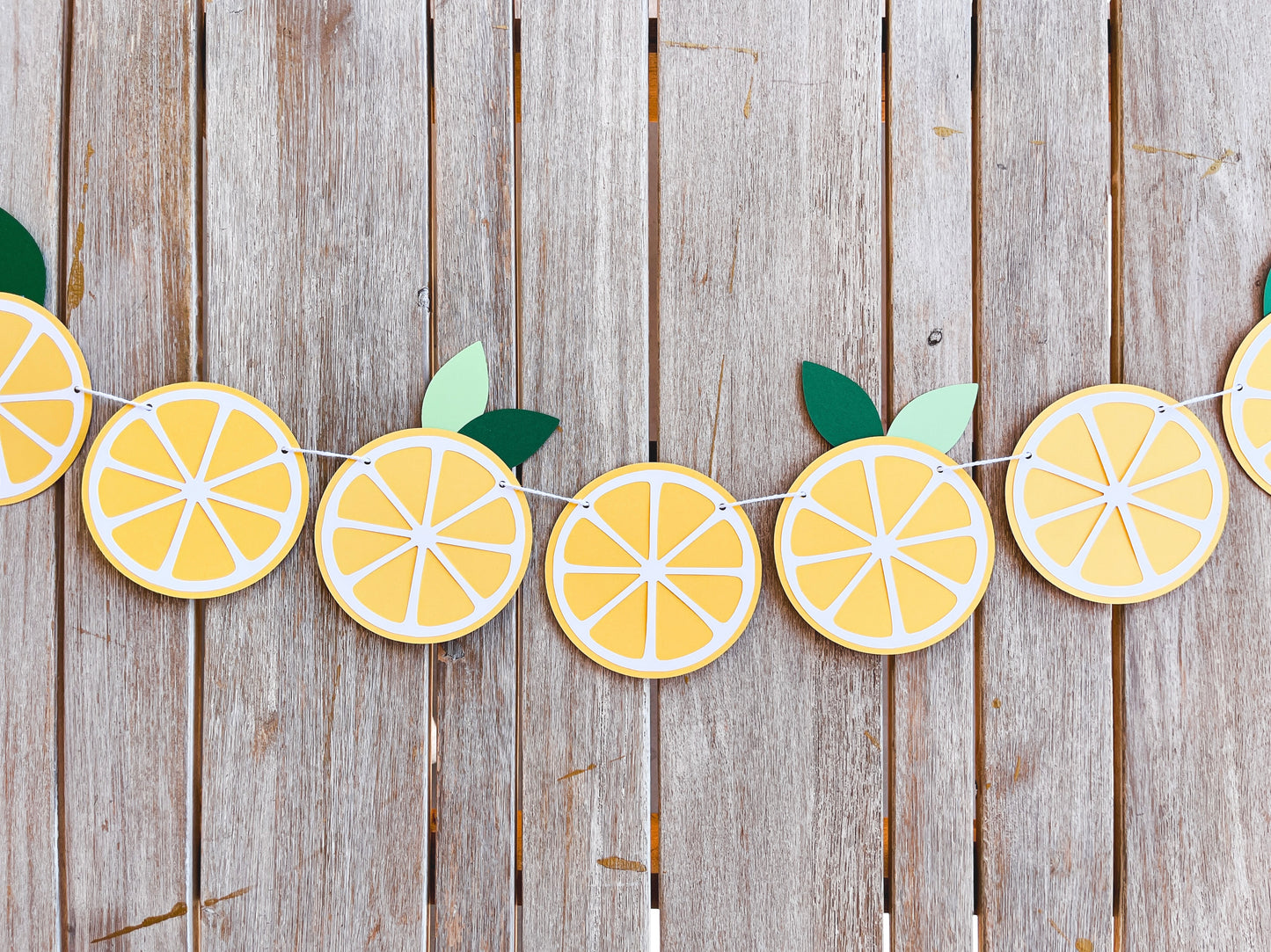 Lemon Slice Paper Banner