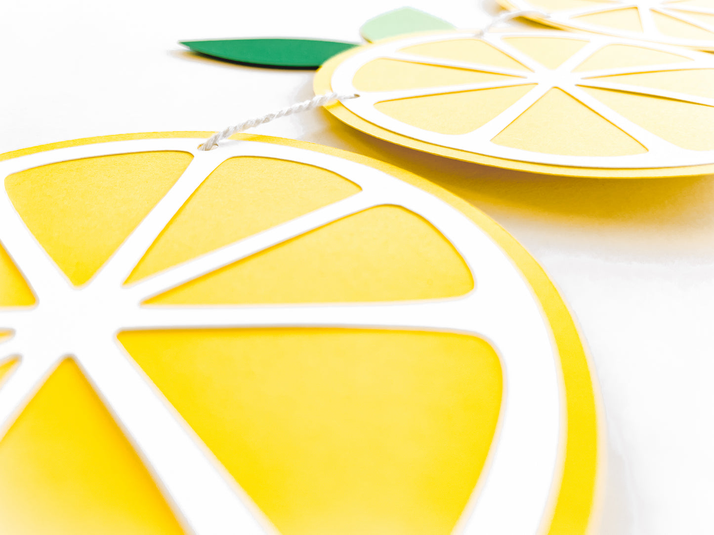 Lemon Slice Paper Banner