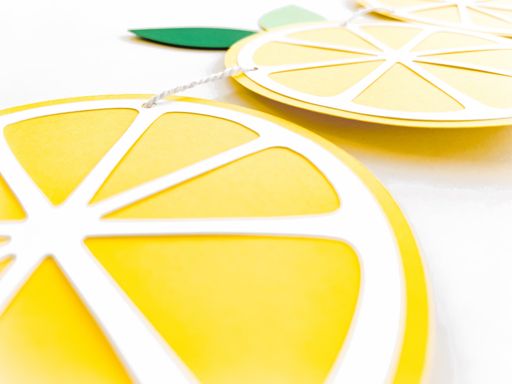 Lemon Slice Paper Banner