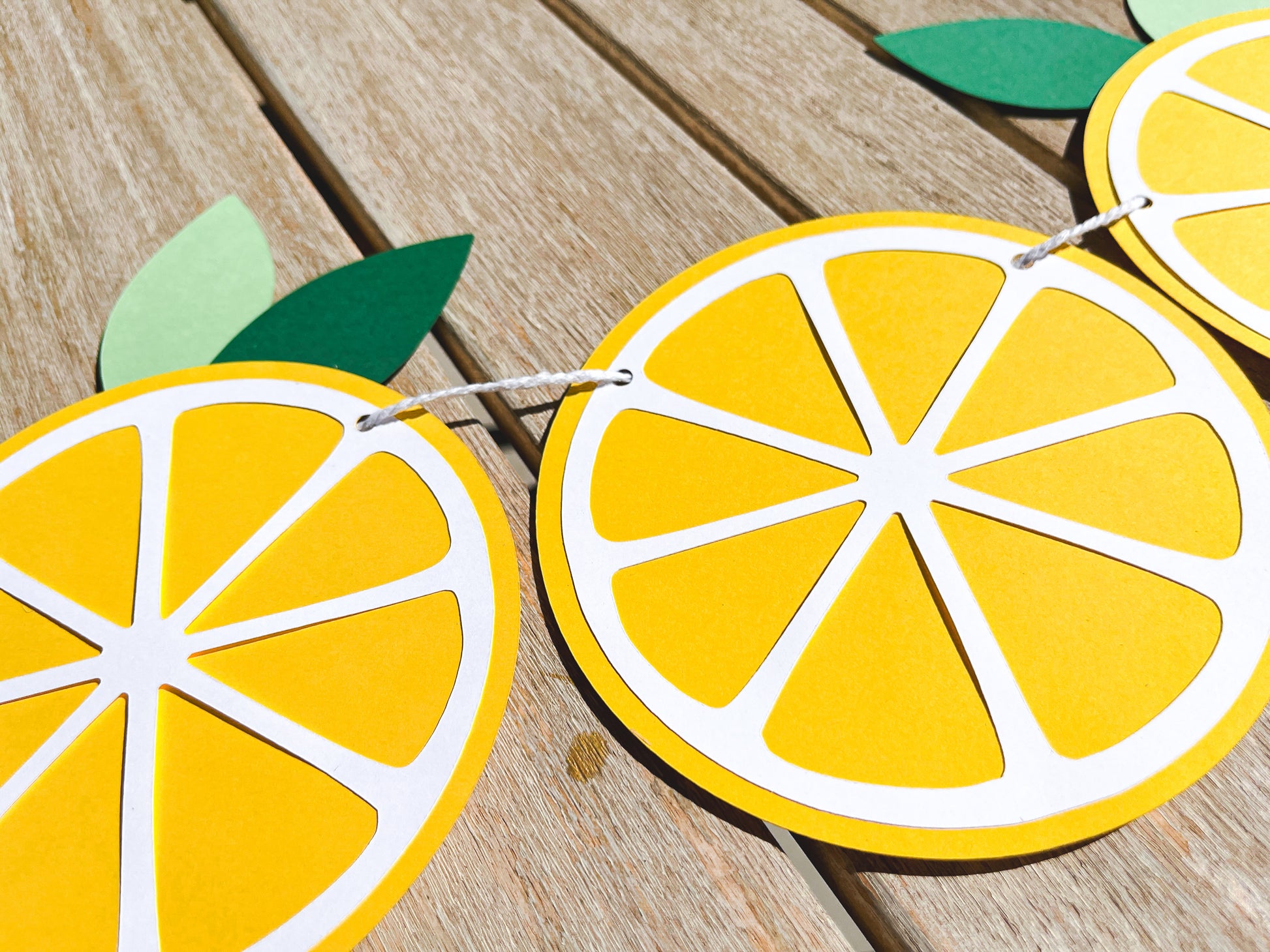 Lemon Slice Paper Banner