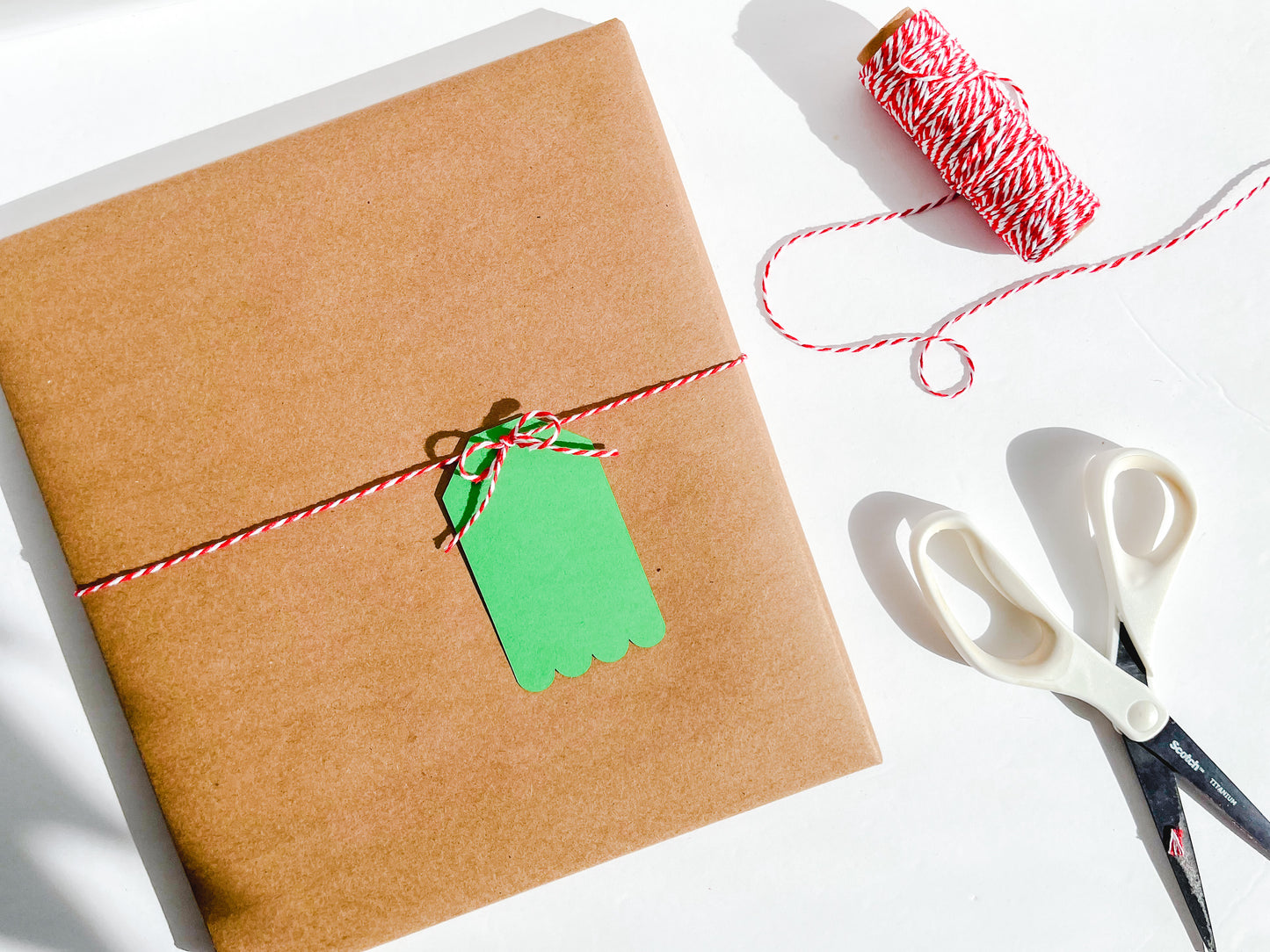 Scalloped Gift Tags, Set of 12