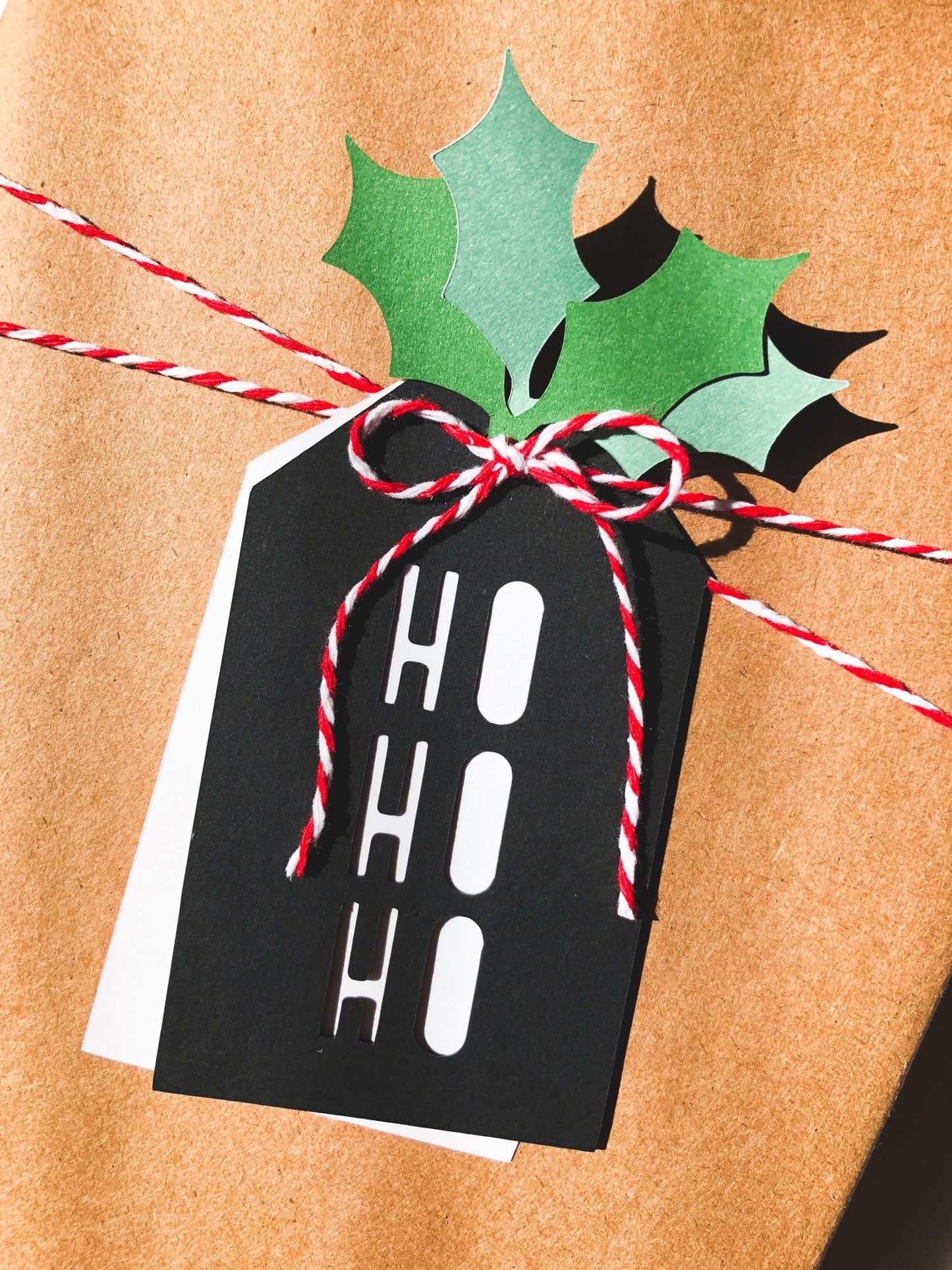 Ho Ho Ho Christmas Gift Tag Set with Holly Leaves, Set of 10